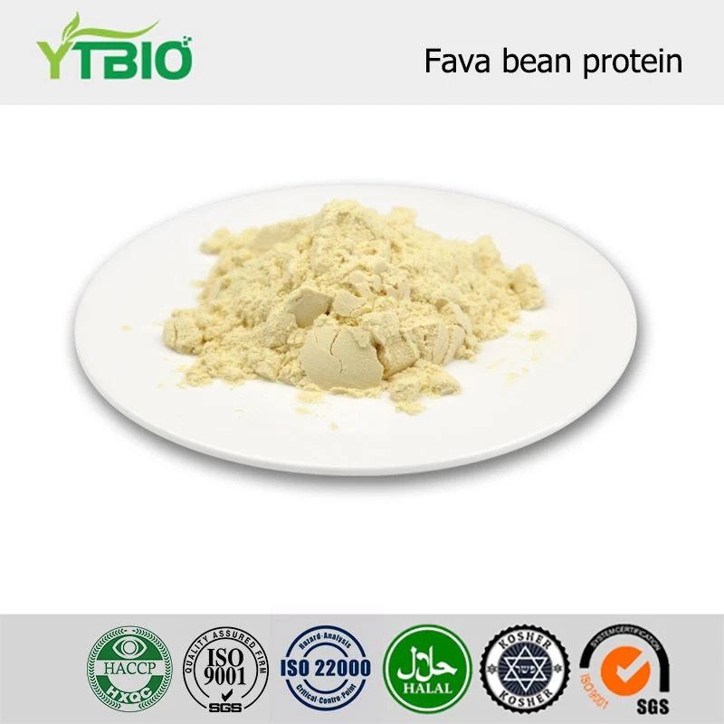 Fava Taum Protein Hmoov