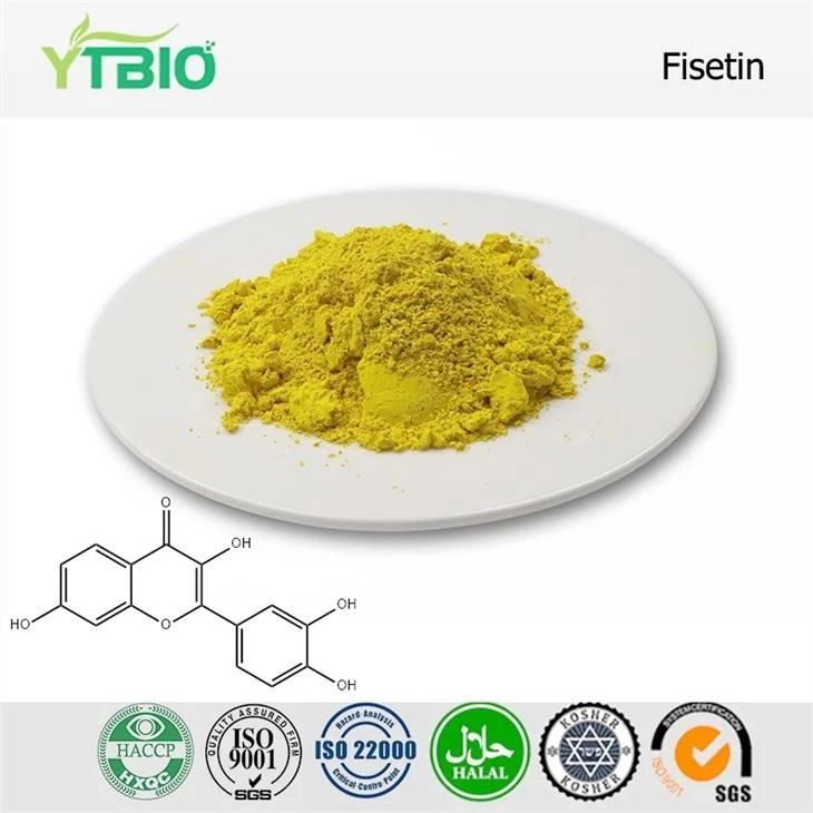 Fisetin Bulk Powder