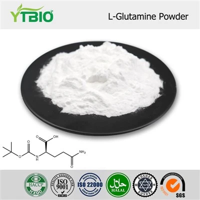 Bulk L-Glutamine Powder