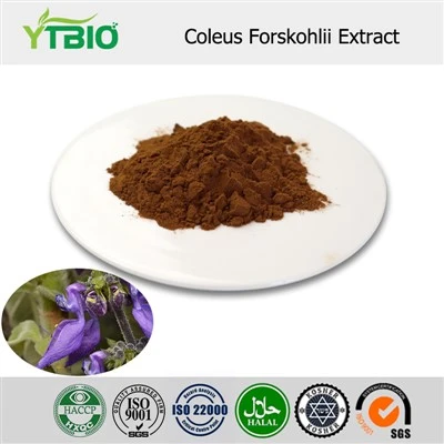 Coleus Forskohlii Extract hmoov