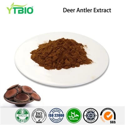 Deer Antler Extract hmoov