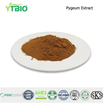 Pygum extract hmoov